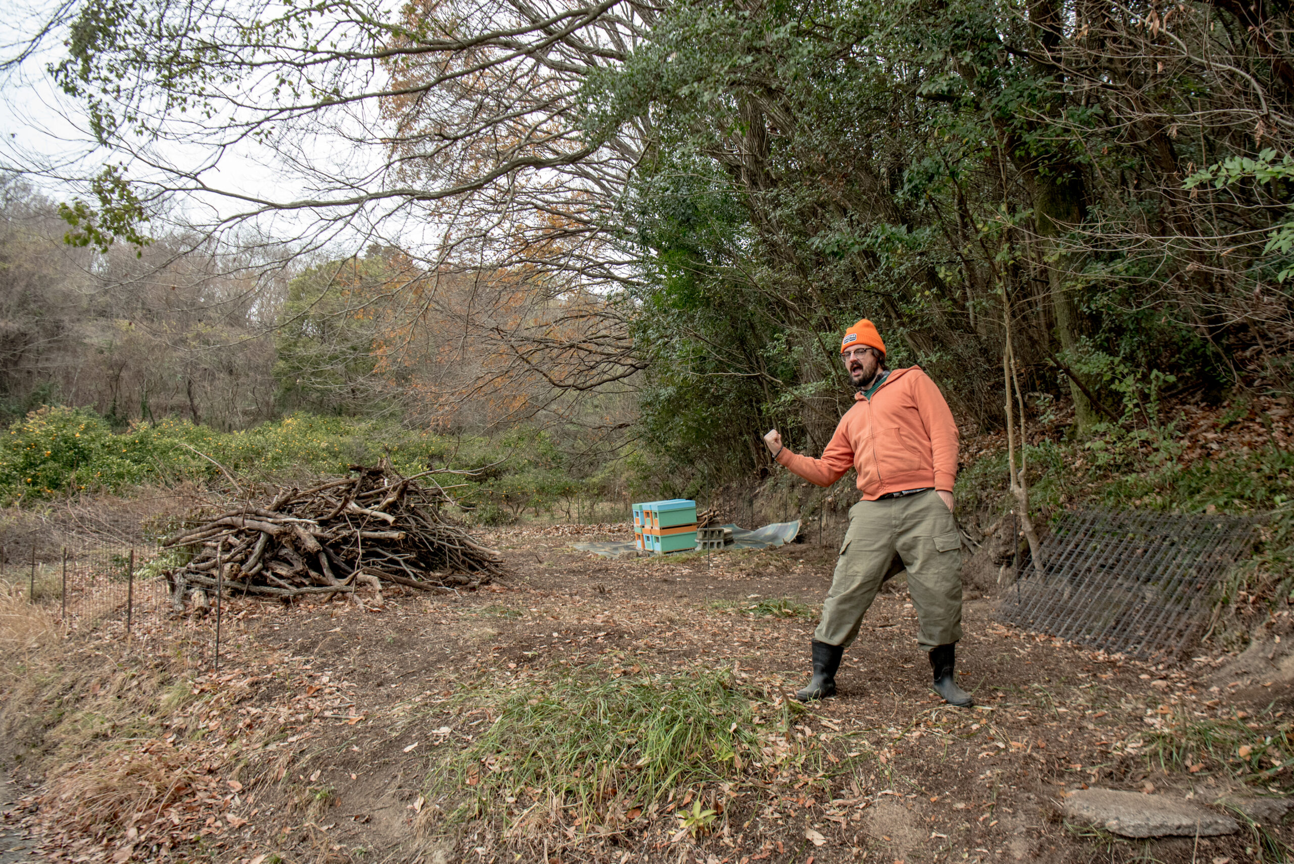 Honeybee Apiary (#2) & Abandoned Land Preparation